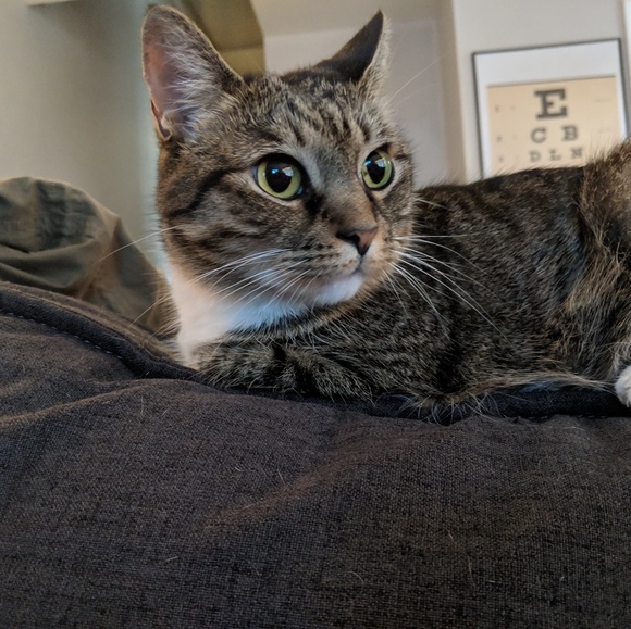 Meet your Posher, Kelly - Picture 1 of 1